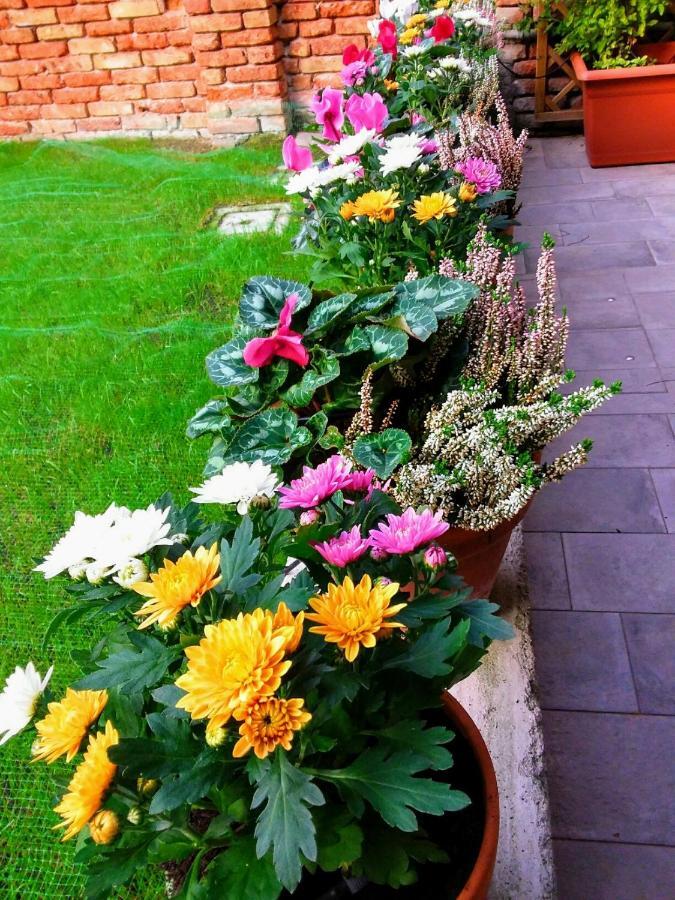 Hortus Bed & Breakfast Venezia