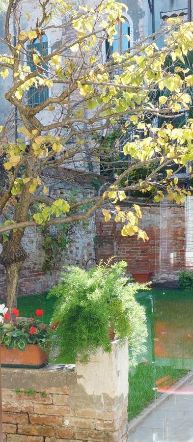 Hortus Bed and breakfast